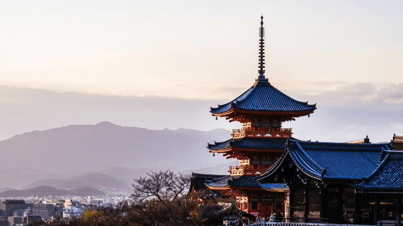 当源郷はどんな予想を提供するサイトなのか？